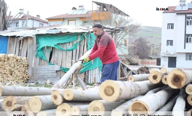 Oruçlu olarak ekmeğini ağaçtan çıkarıyor